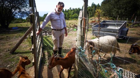 Xos� Lois Brage en la finca de la Granxa Os Ares, que atacada por el lobo dos veces en once d�as.