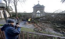 Los t�cnicos municipales convirtieron en madera el olmo derribado por el viento el pasado domingo. 