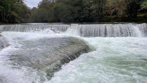 Ro Verdugo en la playa fluvial de A Calzada, en Ponte Caldelas, durante la borrasca Beatrice del pasado fin de semana