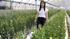 Teixido Flor distribuye su producci�n a m�s de un centenar de florister�as
