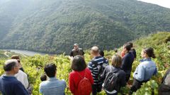 Turistas del Vi�ob�s visitan la ribera de Vilach�, en una foto de archivo