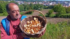 Jos Antonio Fernndez, un aficionado a las setas de Chantada, hace unos das con un cesto lleno de cantarelas recogidas en los alrededores de esta localidad