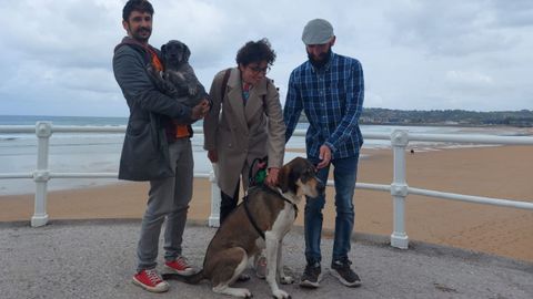 Adri�n Men�ndez, Noelia Ordieres y �lvaro Granda, de la candidatura de Convocatoria por Xix�n, junto a sus perros, Tontu y Caleya, en La Escalerona