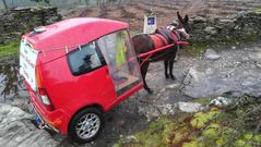�En mi peregrinaci�n la prioridad es la burra Marina�
