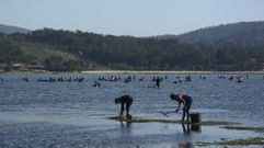 Mariscadoras en la r�a de Pontevedra, en una foto de archivo, una imagen que no se repetir� al menos hasta mediados de abril