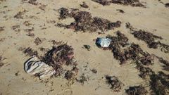 Basura arrastrada por la marea a la playa de San Lorenzo de Gij�n.Bolsas de pl�stico