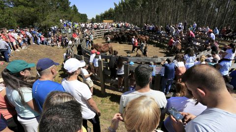 Varios cientos de personas participaron en las actividades programadas