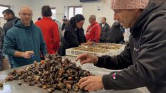 Percebeiros en la lonja canguesa
