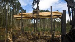 Las tres mil empresas de la confederaci�n facturan 1.700 millones de euros. 