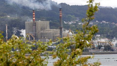 Fbrica de Ence en Pontevedra