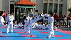 Exhibici�n de deportes de contacto en Cee