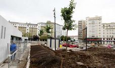 Hilera de ejemplares plantados frente a los peque�os edificios de la plaza de Espa�a.