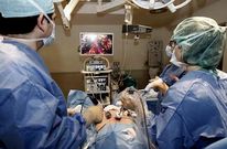 La formaci�n actual de los especialistas m�dicos espa�oles suele durar unos once a�os. 