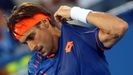 David Ferrer