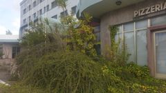 Frente a la entrada principal hay maleza