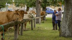 Feiras de Primavera en O P�ramo