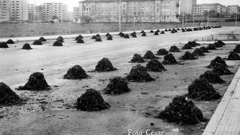 Ocle acumulado en la calle Puerto de Leitariegos