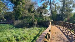 El paseo de Vil�n (Cabovila�o), cortado y da�ado por la ca�da de un �rbol