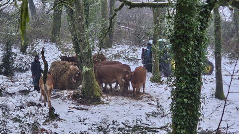 Nieve en las zonas altas de A Lama