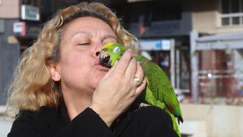 Ver�nica Nogueira y su loro del Amazonas, Rubio, salen a pasear por las calles de Ribeira cuando hace sol