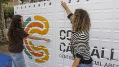 Xogo da campa�a �A voltas co cole�, do CCA 