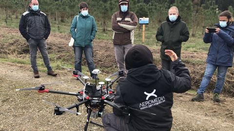 Técnicos de Lourizán usan un dron en una plantación experimental con planta mejorada de pino