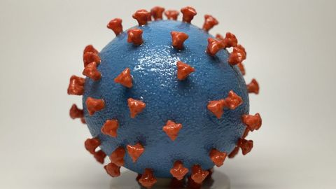 Modelo de coronavirus eb 3D realizado por el National Instituts of Health