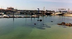 El acceso del pantal�n del N�utico se har� desde la rampa del puerto con una pasarela dotada de dos plataformas.