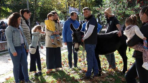 Presentacin de la Asociacin Cabalar Serra do Barbanza