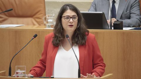 La diputada de Podemos-Equo, Raquel Romero