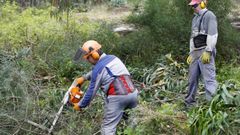 Imagen de archivo de unos operarios desbrozando una finca