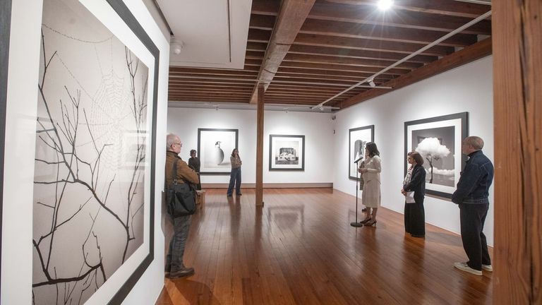 Santiago acoge una muestra de fotograf&iacute;as de Chema Madoz que tienen un v&iacute;nculo con la naturaleza