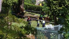 El suceso ocurri sobre las 12.15 horas en el calle Ro Lrez, en A Caeira, en Poio