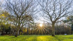 Campo de San Roque en Corcubi�n