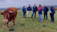 Las autoridades y los reponsables de la ganader�a, ante uno de los toros de la explotaci�n
