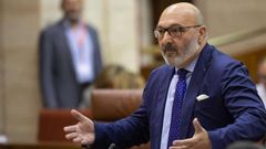 El portavoz de Vox en el Parlamento andaluz, Alejandro Hern�ndez.