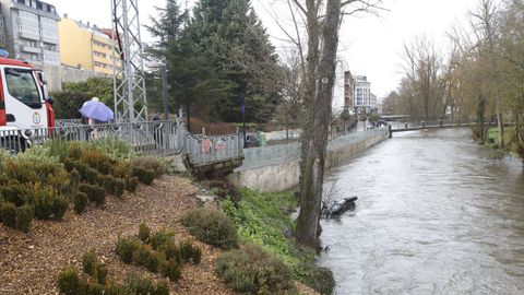 Bomberos y Polic�a Local acudieron al lugar del accidente