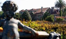 La finca de Vista de Real, que adquiri� el Concello, posee 2,5 hect�reas de vi�edo y huerta.
