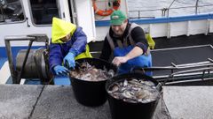 Marineros descargando pulpo das atrs, en Porto do Son