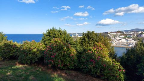 Flores en el jardn de la Fonte Baixa, en Luarca