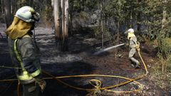 Dos efectivos trabajan en la extinci�n del incendio forestal del Xiabre, en un foco en la parroquia de Saiar, en Caldas 
