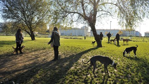 Imagen de archivo del parque canino de O Bert�n