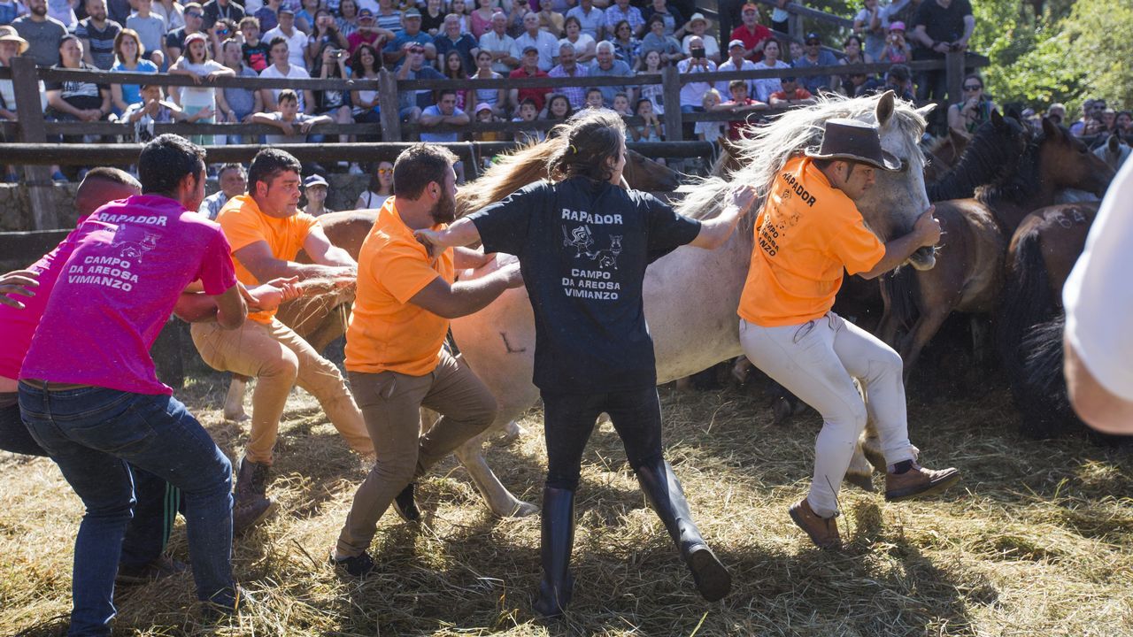 Vimianzo Se Rindi A La Bella Lucha De La Rapa Das Bestas vimianzo-se-rindi-a-la-bella-lucha-de-la-rapa-das-bestas