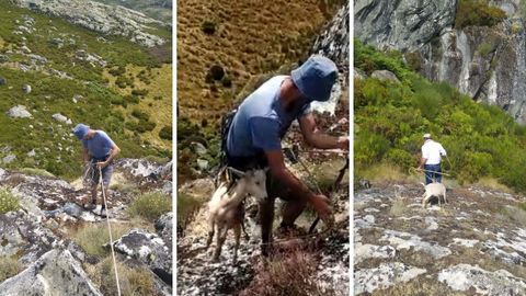 De izquierda a derecha, el descenso de Alfonso B�ck al risco para el rescate de la cabra, que entregaron a su propietario