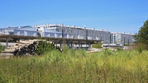 Vista general de la zona, pr�cticamente cubierta por la maleza