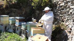 O lucense Hugo Sant�n traballando nas colmeas do cort�n