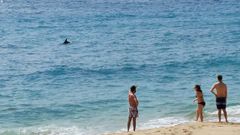 El delf�n se dej� ver y se acerc� a los ba�istas.