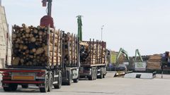 Camiones cargados de madera esta semana en el puerto comercial de Burela