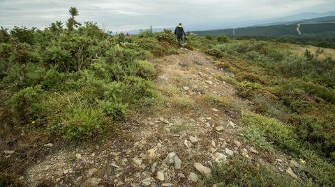 Muro del castro de Vilar de Ortelle