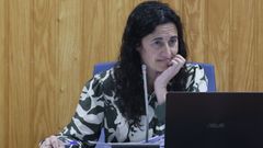 pan.La exalcaldesa Mar�a Pan, de Uni�n por Cambre